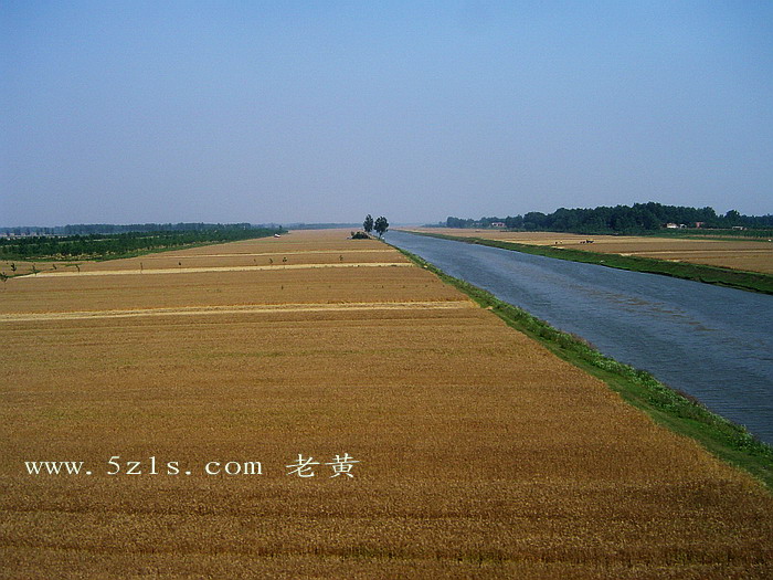 DSC00073.jpg
