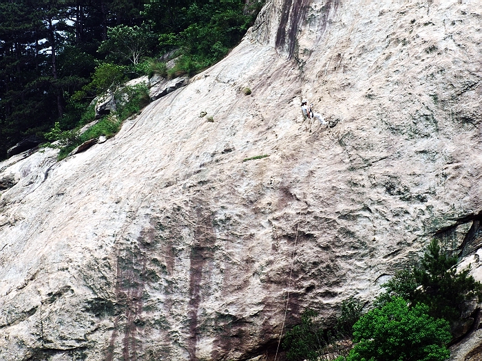 DSCF8683.jpg