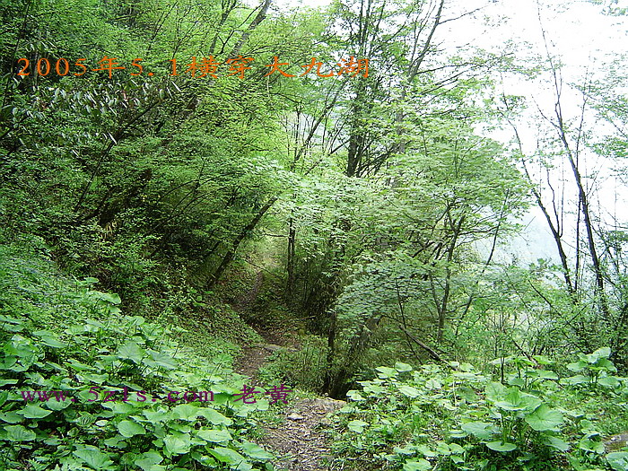 DSC00270.jpg