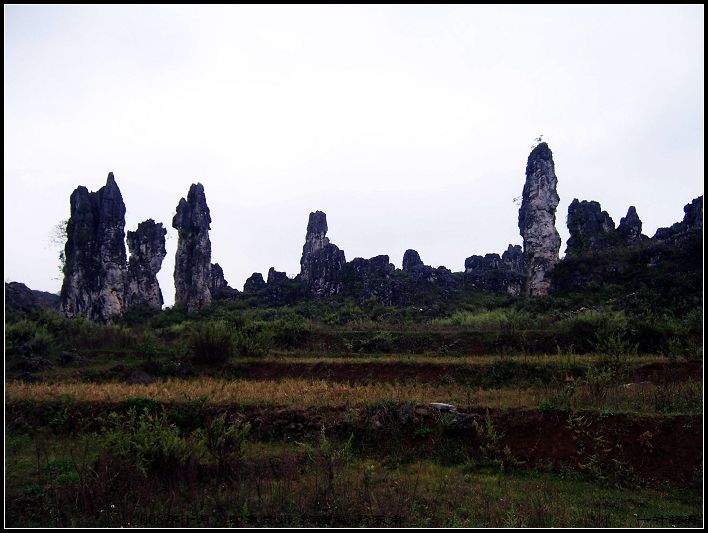 100_3157.jpg