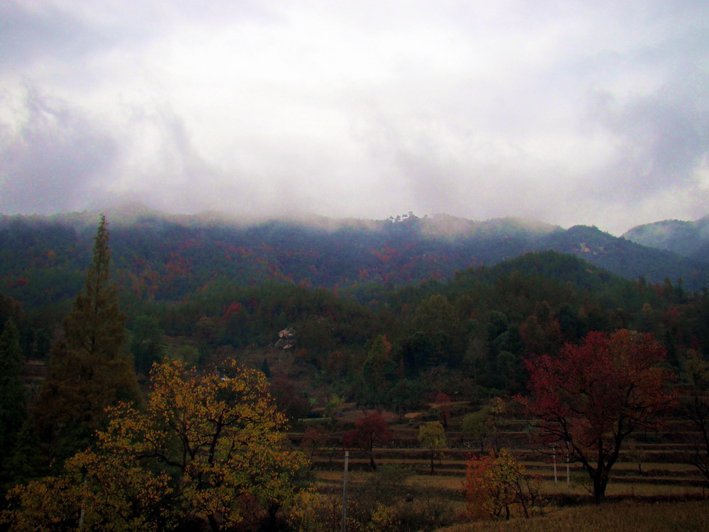 DSC01503.JPG