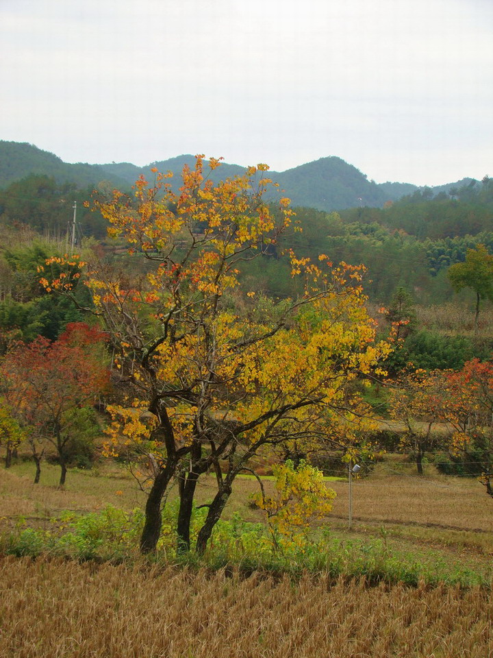 DSC01556.JPG