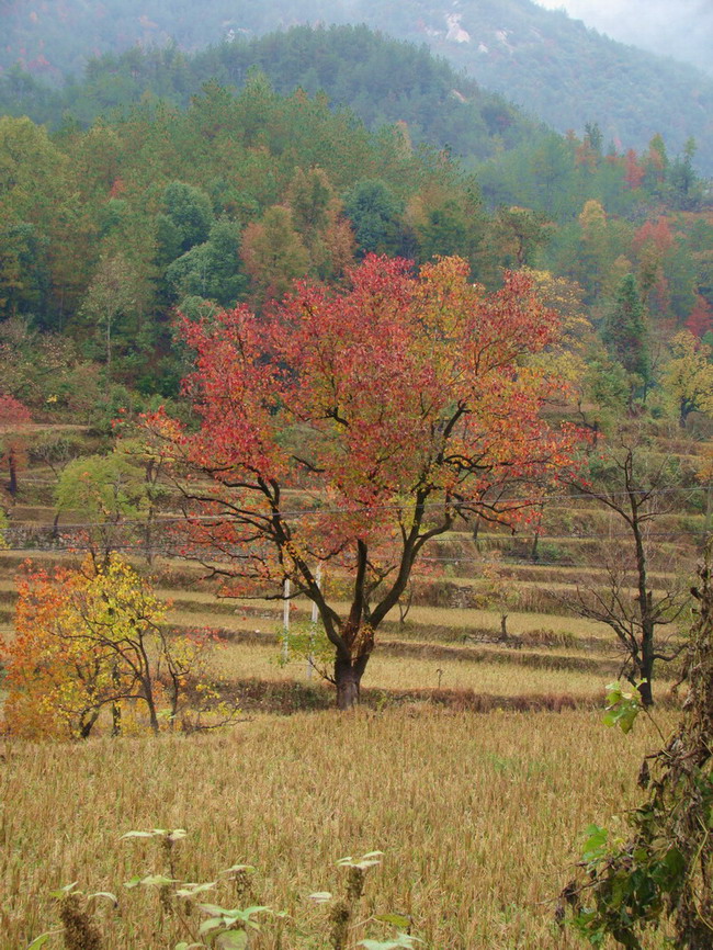 DSC01500.JPG