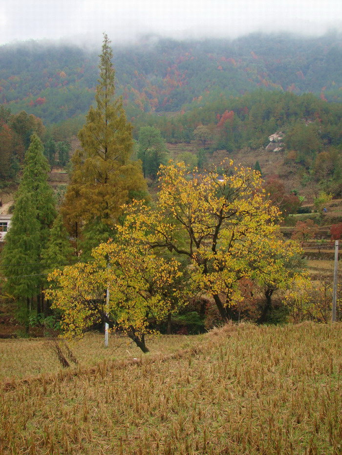 DSC01504.JPG
