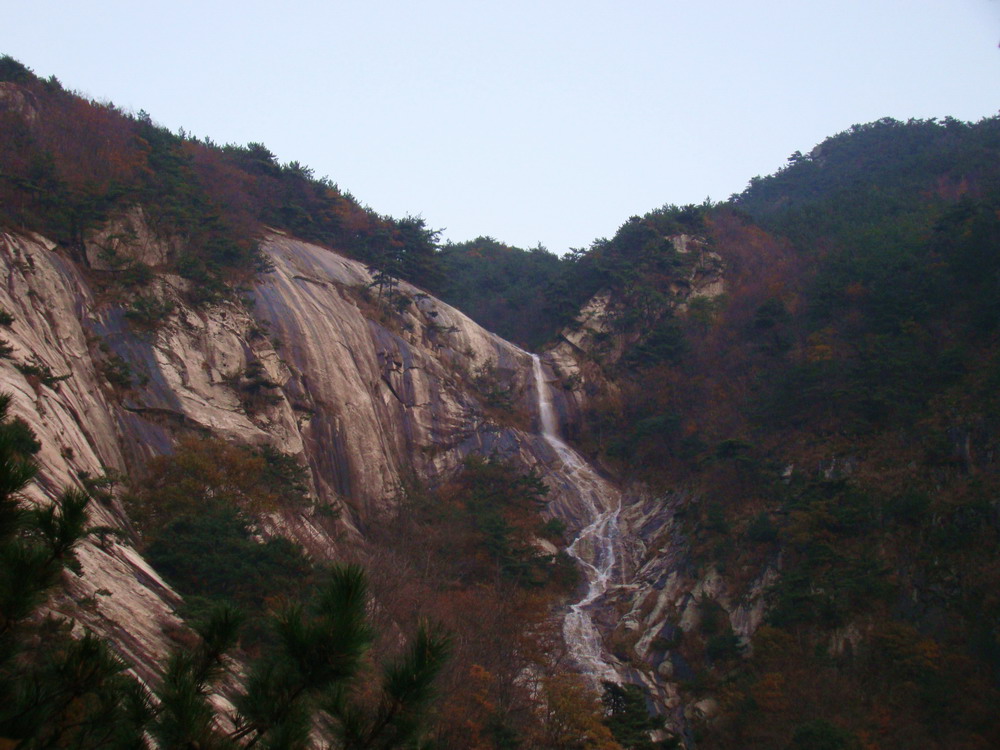 DSC01618.JPG