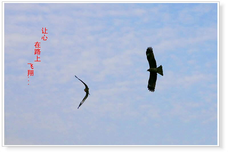 IMG_5815.800x533.44.5K.jpg