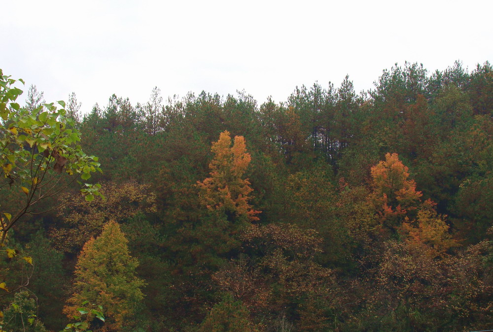 DSC01497.JPG