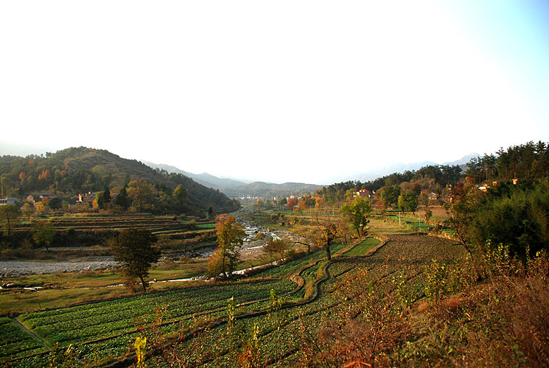 DSC_0054-1.jpg