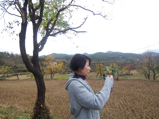 100_2460.JPG