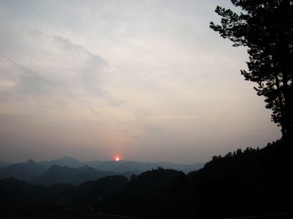 IMG_4505.JPG