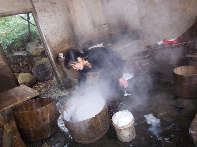 100_2513.JPG
