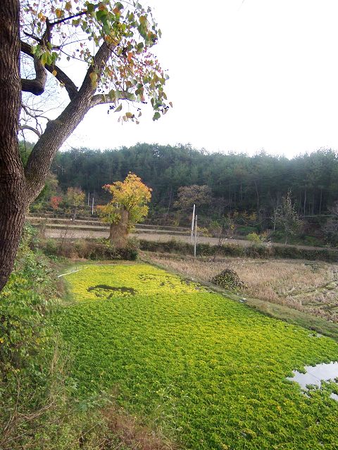 100_2557.JPG