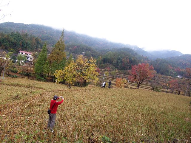 100_2449.JPG