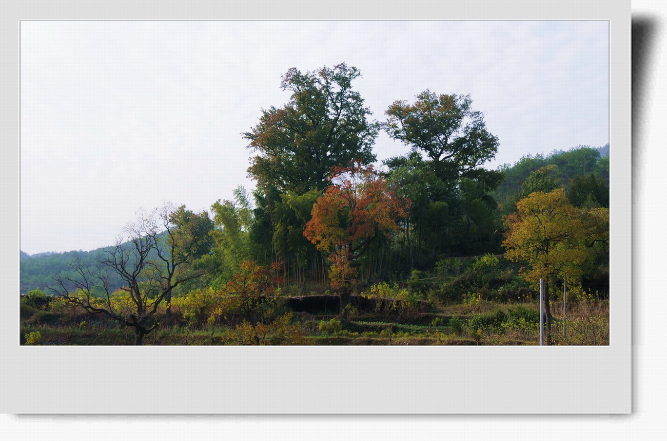 ɫʰ쵾ʺ49.JPG