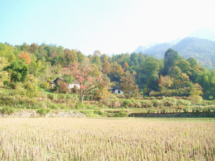 DSC01661a.JPG