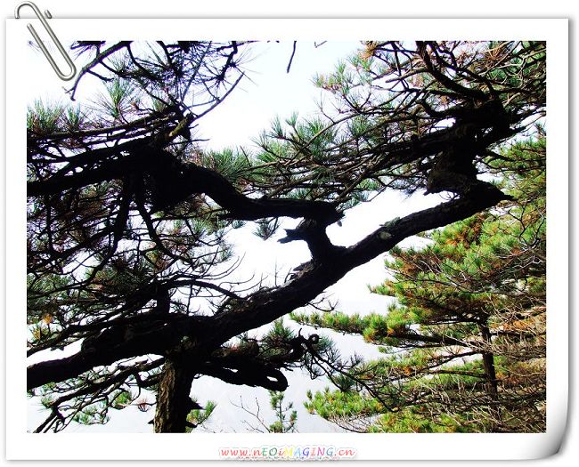 DSCF5591.JPG
