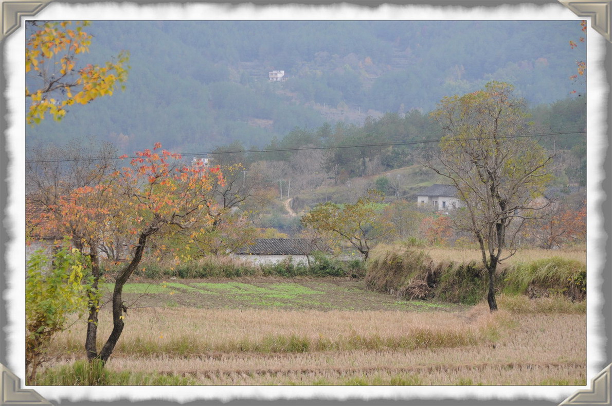 ɫʰ쵾ʺ25.JPG