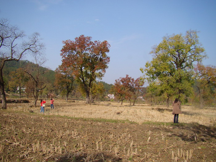DSC01671a.JPG