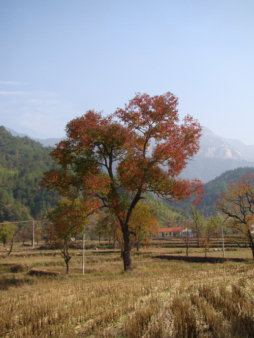DSC01725a.JPG