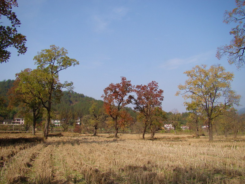 DSC01674a.JPG