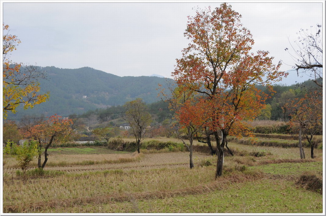 ɫʰ쵾ʺ24.JPG