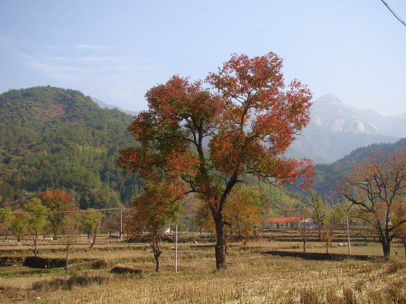DSC01726a.JPG