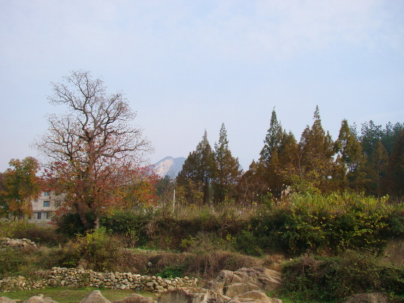 DSC01761a.JPG