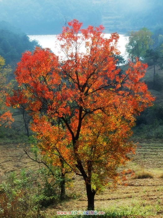 DSCF4814.jpg