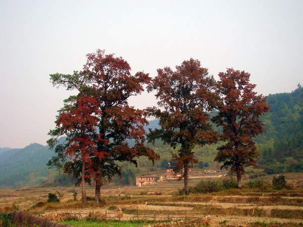 DSC02278.JPG