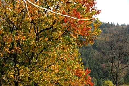 DSC01192.jpg