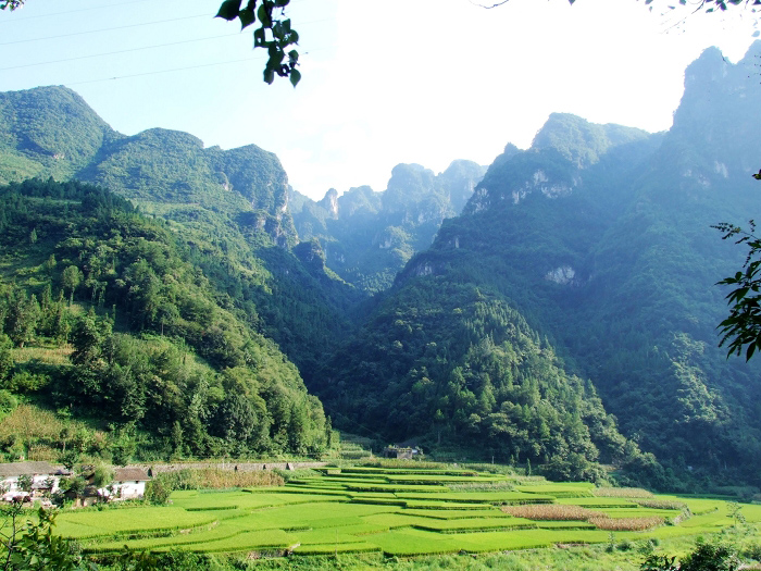 2007taohuayuan 1373_nEO_IMG.jpg