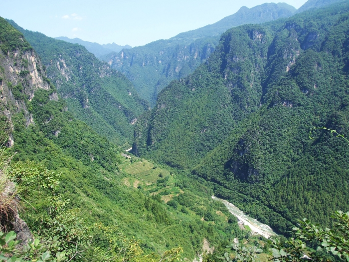 2007taohuayuan 1251_nEO_IMG.jpg