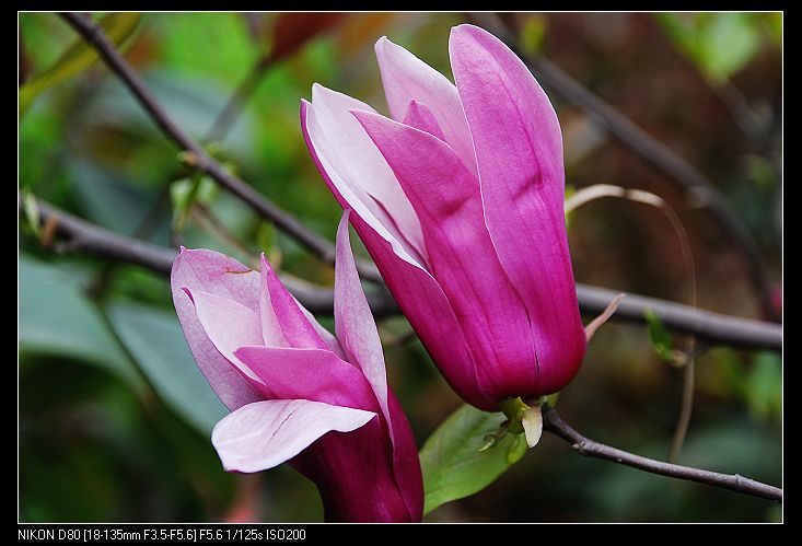 nEO_IMG_DSC_3851.jpg