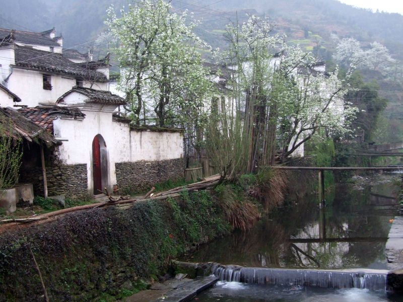 DSCF6109.jpg