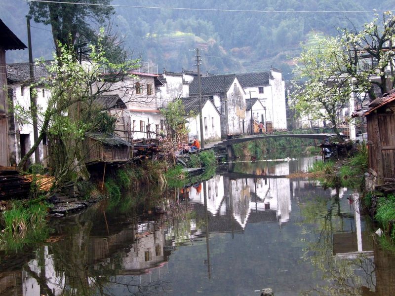 DSCF6157.jpg