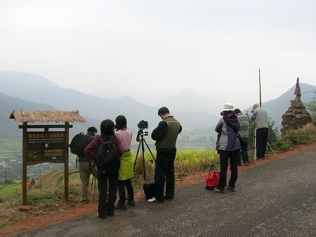 DSCN6534.jpg