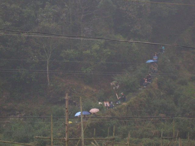 DSCN6338.jpg