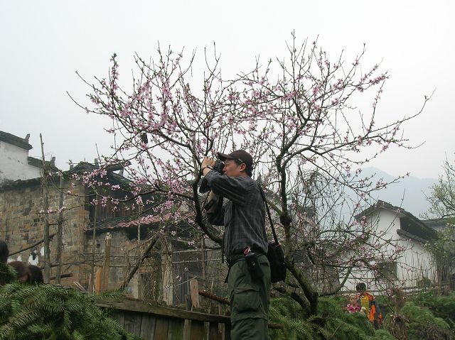 DSCN6365.jpg