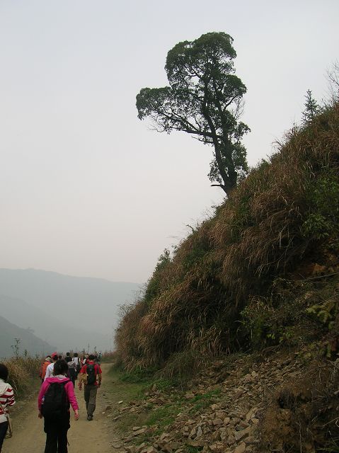 DSCN6435.jpg