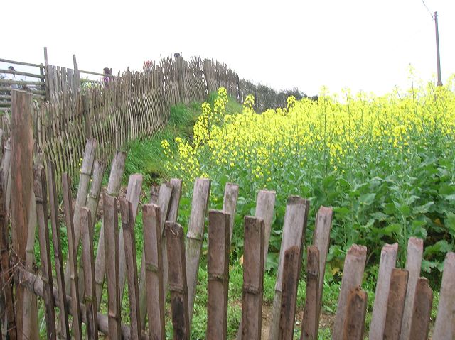DSCN6448.jpg