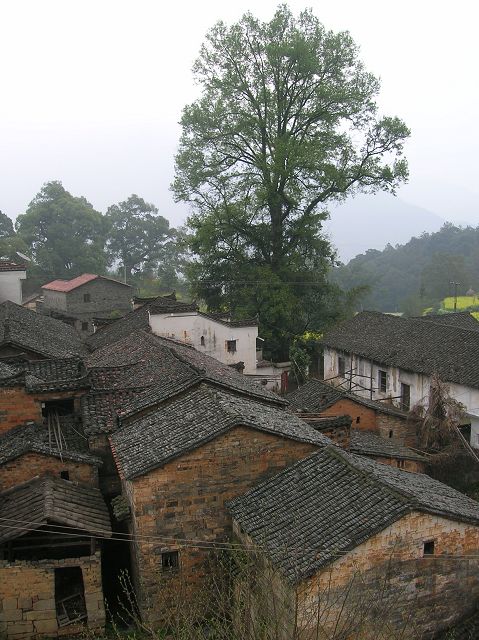 DSCN6558.jpg