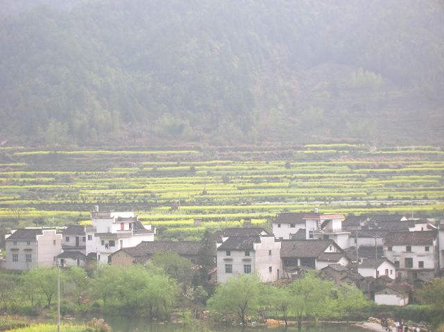 DSCN6490.jpg
