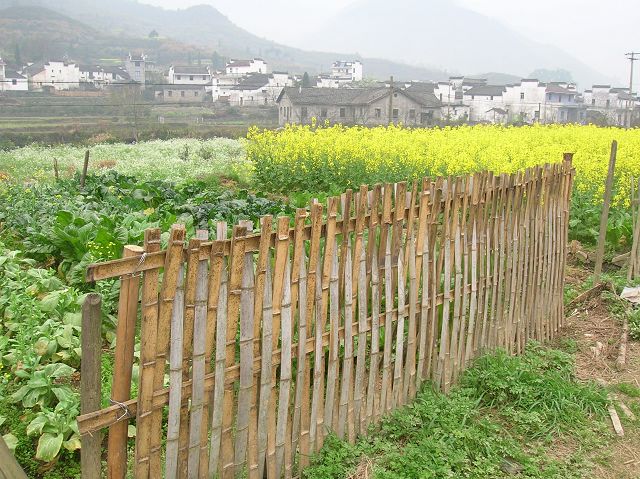 DSCN6429.jpg