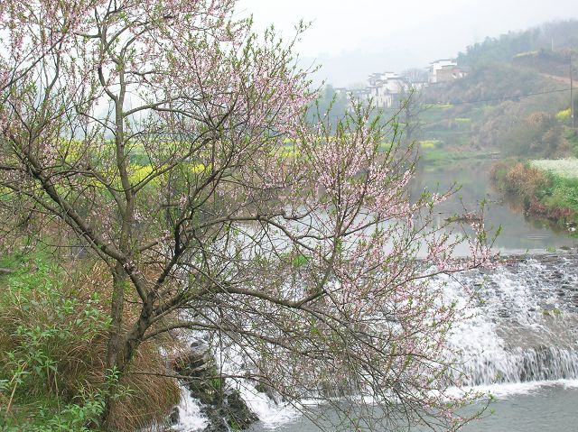 DSCN6414.jpg