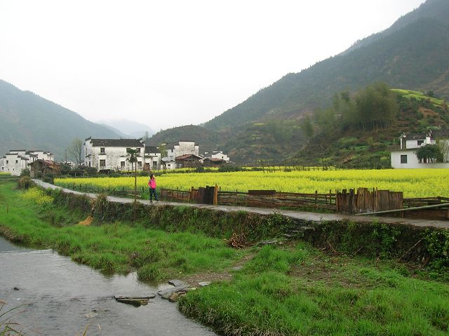 DSCN6471.jpg