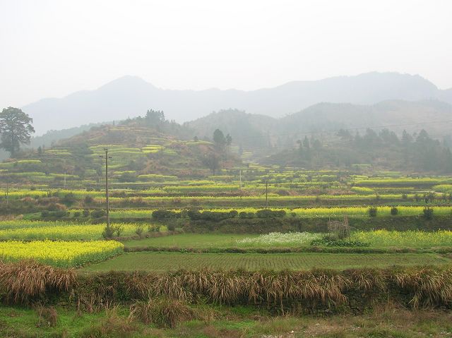 DSCN6411.jpg