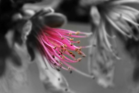 DSC_01591.jpg