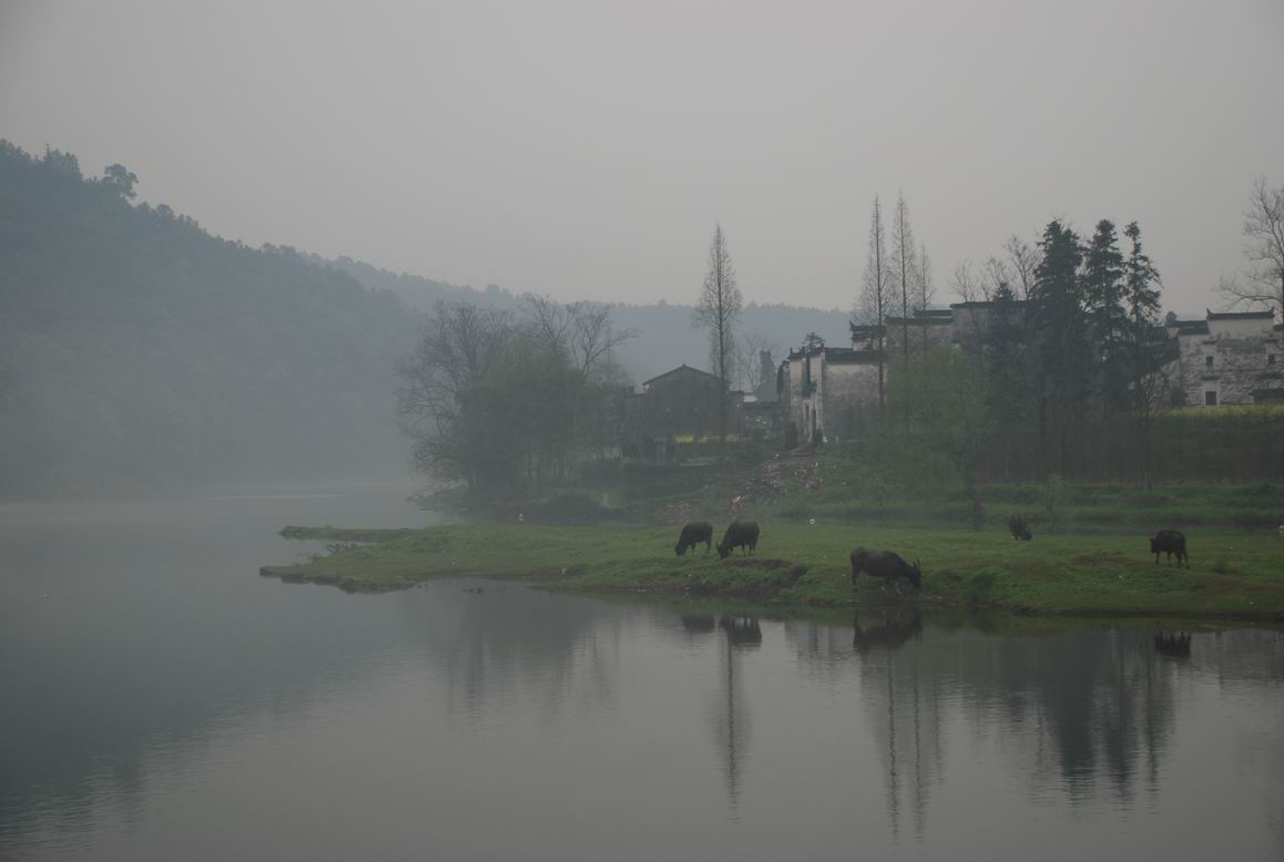 Resize of DSC_0096.JPG