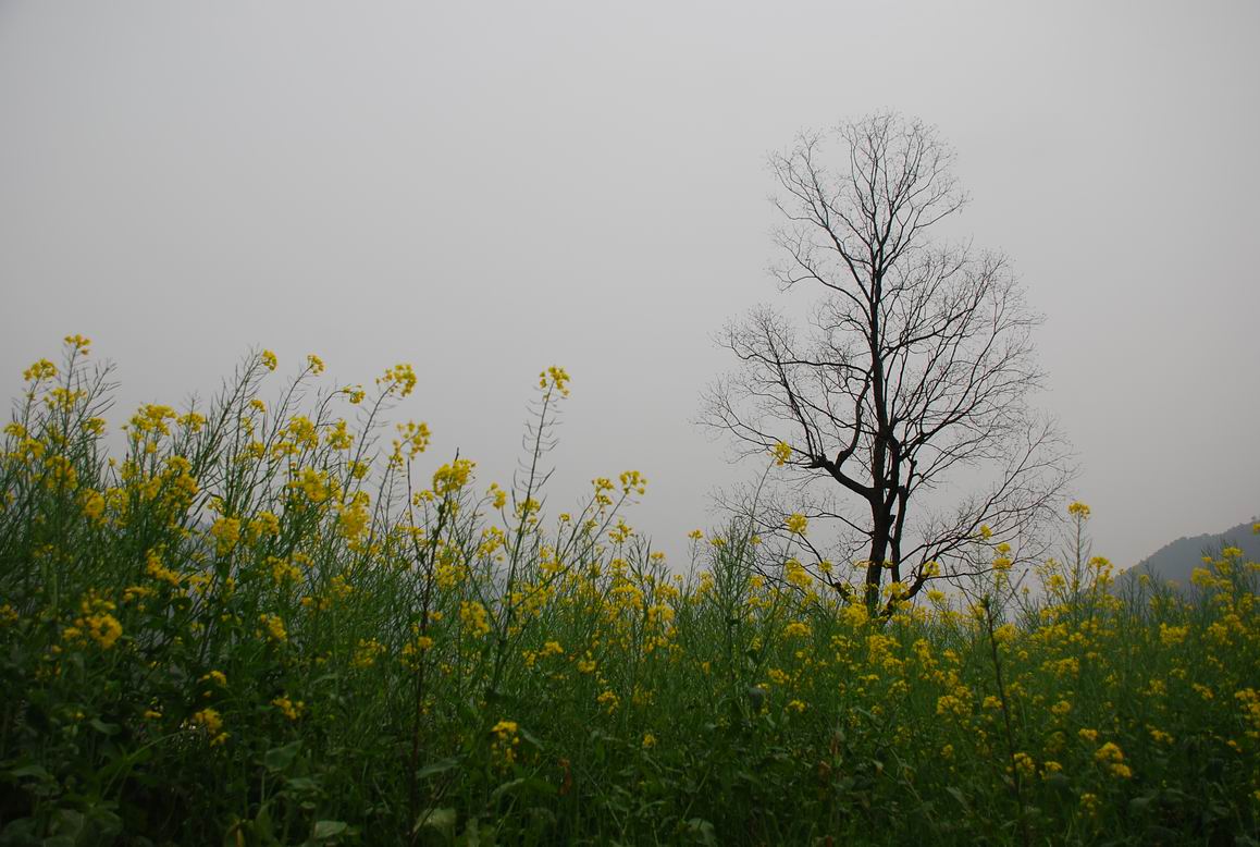 Resize of DSC_0947.JPG