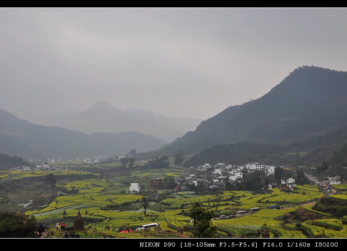 DSC_0196.jpg